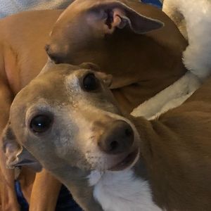 Meet your Posher, Kyle